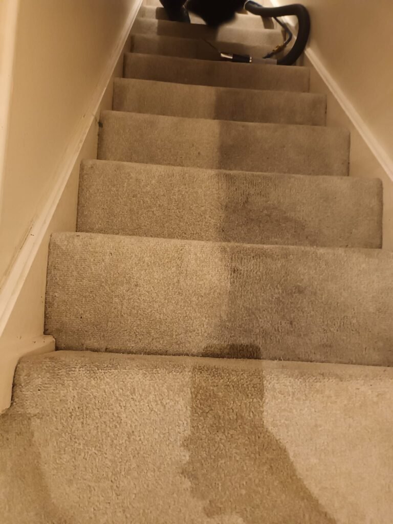 Carpet Cleaning In Manchester